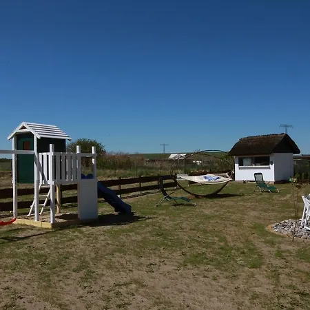 Ferienhaus Seeschwalbe Ferienhaus Zirkow